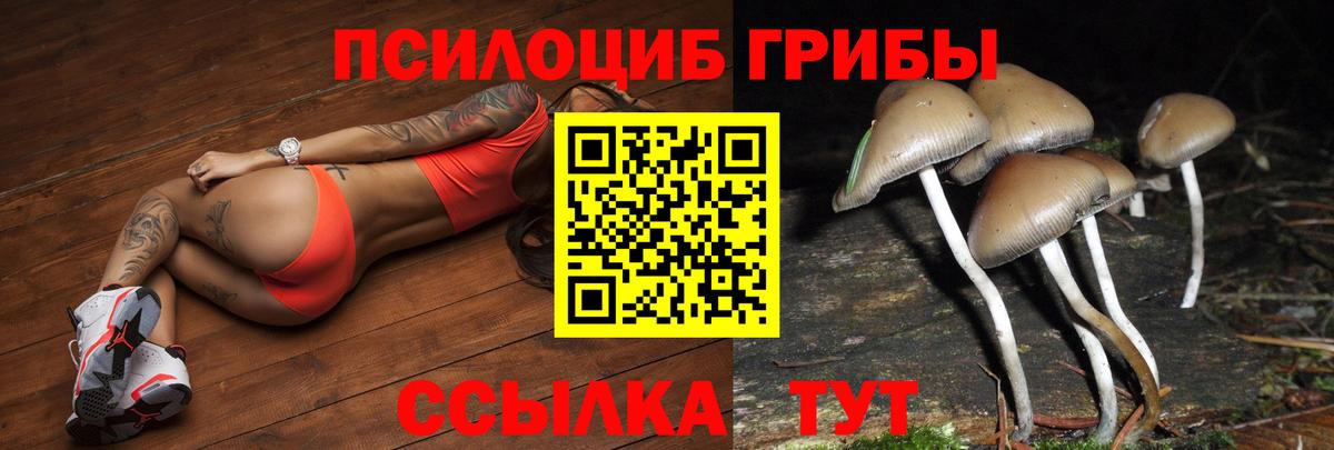 Псилоцибиновые грибы MAGIC MUSHROOMS Донецк